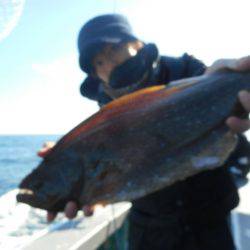 大進丸（愛知） 釣果