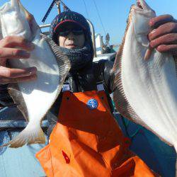 大進丸（愛知） 釣果