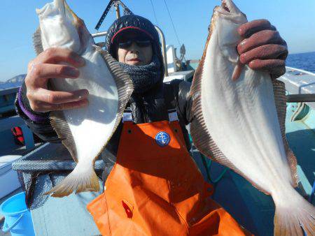 大進丸（愛知） 釣果