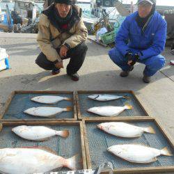 大進丸（愛知） 釣果
