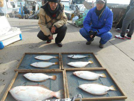 大進丸（愛知） 釣果