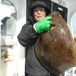 大進丸(愛知) 釣果
