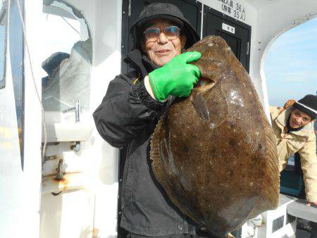 大進丸(愛知) 釣果