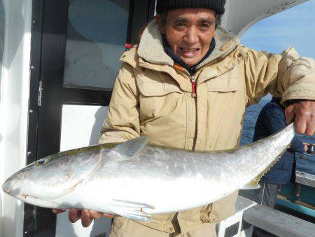 大進丸(愛知) 釣果