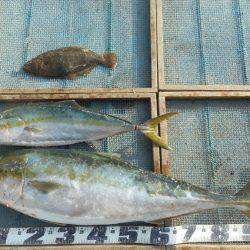 大進丸(愛知) 釣果