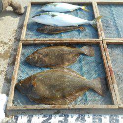 大進丸(愛知) 釣果