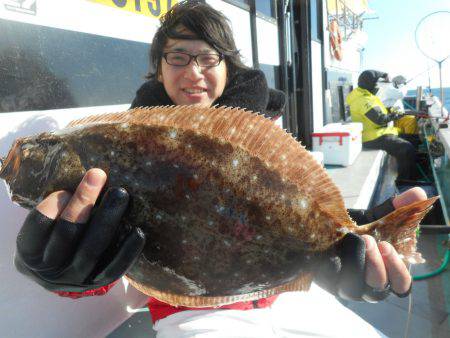 大進丸（愛知） 釣果