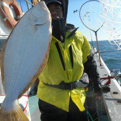 大進丸（愛知） 釣果