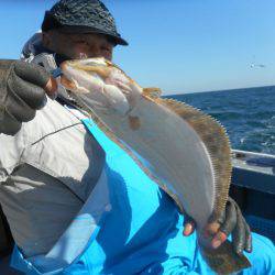 大進丸（愛知） 釣果