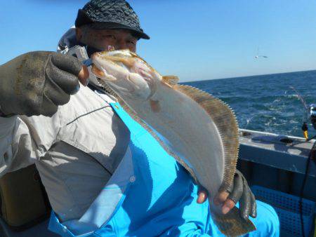 大進丸（愛知） 釣果