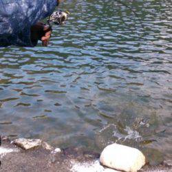 フィッシングエリア帝釈 釣果