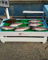 和歌山マリーナシティ釣り堀 釣果