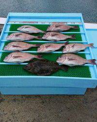 和歌山マリーナシティ釣り堀 釣果