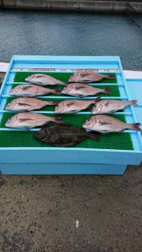 和歌山マリーナシティ釣り堀 釣果