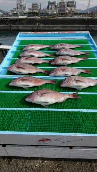 和歌山マリーナシティ釣り堀 釣果