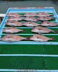 和歌山マリーナシティ釣り公園 釣果