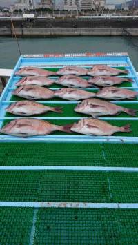 和歌山マリーナシティ釣り公園 釣果