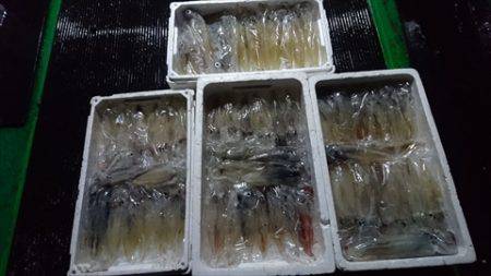 海宝丸　島根 釣果