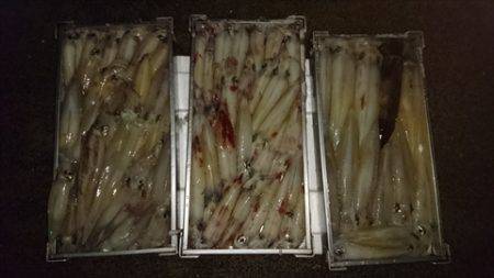 海宝丸　島根 釣果