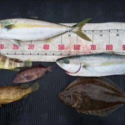 海宝丸　島根 釣果