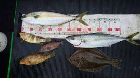 海宝丸　島根 釣果