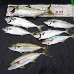 海宝丸　島根 釣果
