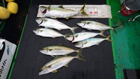 海宝丸　島根 釣果