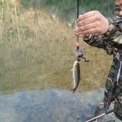 フィッシングエリア帝釈 釣果