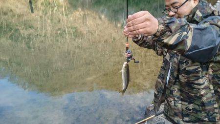 フィッシングエリア帝釈 釣果