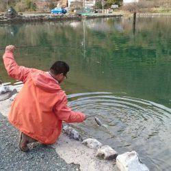 フィッシングエリア帝釈 釣果