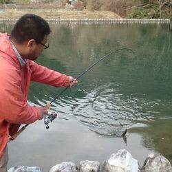 フィッシングエリア帝釈 釣果