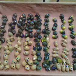 フィッシングエリア帝釈 釣果