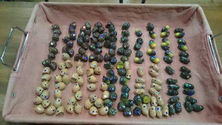 フィッシングエリア帝釈 釣果