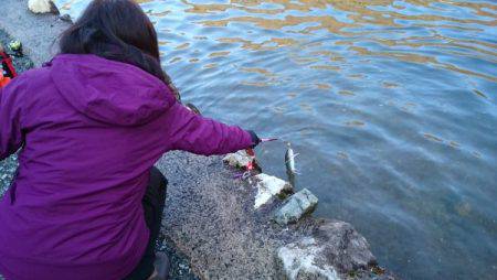 フィッシングエリア帝釈 釣果