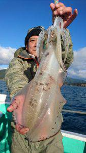 愛海丸 釣果