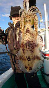 愛海丸 釣果