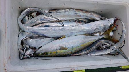 松運丸 釣果