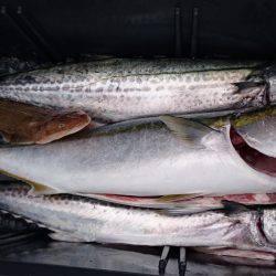 松運丸 釣果