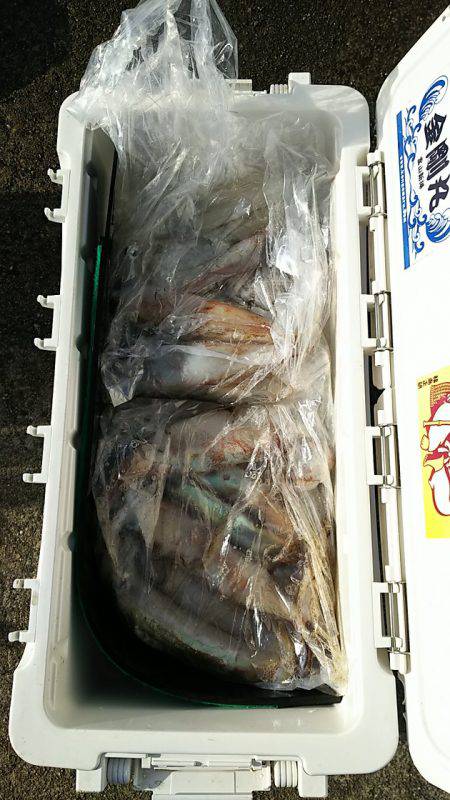 金剛丸 釣果