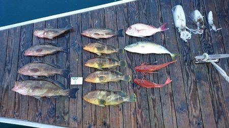 フィッシングボートACE(エース) 釣果