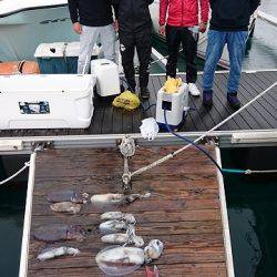 フィッシングボートACE(エース) 釣果