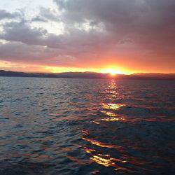 フィッシングボートACE(エース) 釣果