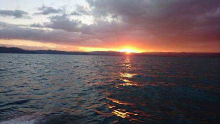 フィッシングボートACE(エース) 釣果