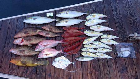 フィッシングボートACE(エース) 釣果