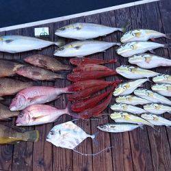 フィッシングボートACE(エース) 釣果