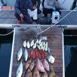 フィッシングボートACE(エース) 釣果