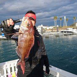 フィッシングボートACE(エース) 釣果