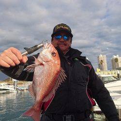 フィッシングボートACE(エース) 釣果