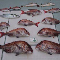 フィッシングボートACE(エース) 釣果