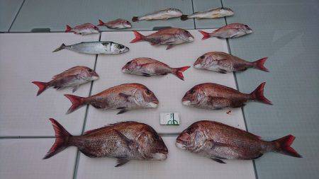 フィッシングボートACE(エース) 釣果